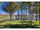 A lush green landscape surrounds a tranquil pond with a water feature, framed by palm trees and mountains at 17633 W Wind Song Ave, Goodyear, AZ 85338