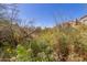 Beautiful balcony view of Arizona landscape from this townhome at 19550 N Grayhawk Dr # 1044, Scottsdale, AZ 85255