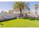 Well-maintained backyard featuring artificial grass, a hammock, and a mature palm tree, perfect for outdoor relaxation at 3015 E Dahlia Dr, Phoenix, AZ 85032