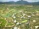 Aerial view of a residential neighborhood, a golf course, and lush desert landscaping at 40478 N 108Th Pl, Scottsdale, AZ 85262