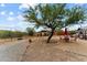 Spacious backyard featuring mature trees, a horse pen, and multiple seating areas, perfect for outdoor living and relaxation at 49011 N 7Th Ave, New River, AZ 85087