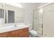Bathroom featuring a single sink vanity and glass shower at 8219 E Tesoro Cir, Mesa, AZ 85207
