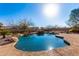 Beautiful backyard featuring a pool, rock waterfall, desert landscaping and mature trees at 8219 E Tesoro Cir, Mesa, AZ 85207
