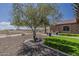 Backyard featuring a covered patio, artificial turf, and desert landscaping at 1440 W Christie Lyn Ln, San Tan Valley, AZ 85144