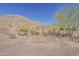 Scenic desert backyard featuring natural landscaping and mountain views at 1440 W Christie Lyn Ln, San Tan Valley, AZ 85144