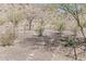 Scenic desert backyard featuring natural landscaping and mountain views at 1440 W Christie Lyn Ln, San Tan Valley, AZ 85144