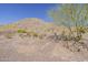 Scenic desert backyard featuring natural landscaping and mountain views at 1440 W Christie Lyn Ln, San Tan Valley, AZ 85144