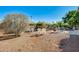 Expansive backyard featuring a mix of gravel, mature trees, and seating, creating a peaceful outdoor retreat at 15840 W Falcon Ridge Dr, Sun City West, AZ 85375