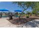 Community dog park providing a safe and enclosed area for dogs to play and socialize at 16939 W Marconi Ave, Surprise, AZ 85388