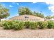 Welcome to Surprise Farms: A well-maintained entrance with lush landscaping at 16939 W Marconi Ave, Surprise, AZ 85388