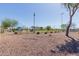 Landscaped park area with trees, shrubbery, and views of baseball fields at 16939 W Marconi Ave, Surprise, AZ 85388