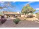 Private backyard showcasing mature trees and gravel landscaping for easy maintenance at 1715 E Branham Ln, Phoenix, AZ 85042