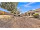 Large backyard featuring a gravel area, mature trees, and a covered patio at 1715 E Branham Ln, Phoenix, AZ 85042