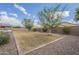 Large backyard with a few trees providing shade, a small patio, and fencing for privacy at 18385 W Devonshire Ave, Goodyear, AZ 85395