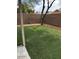 Backyard featuring mature tree, and artificial turf at 2875 W Muriel Dr, Phoenix, AZ 85053