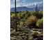 Desert landscape featuring native plants, a mountain backdrop, and wrought iron fencing at 36601 N Mule Train N Rd # D16, Carefree, AZ 85377