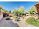 Spacious backyard featuring decorative gravel, lush plants, and mature trees, creating a tranquil setting at 5421 E Michelle Dr, Scottsdale, AZ 85254