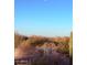 Desert landscape featuring cacti and shrubbery at 10222 E Southwind Ln # 1054, Scottsdale, AZ 85262
