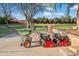 Professionally maintained backyard with a lawn cart and two push mowers at 1096 W Via De Palmas --, San Tan Valley, AZ 85140