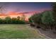 Lush backyard featuring manicured green lawn, mature trees, and a beautiful sunset sky at 1096 W Via De Palmas --, San Tan Valley, AZ 85140