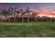 Expansive backyard with a covered patio, mature palm trees, and a well-maintained lawn at 1096 W Via De Palmas --, San Tan Valley, AZ 85140