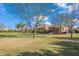 Expansive backyard with a large lawn, mature trees, and a covered patio perfect for entertaining and recreation at 1096 W Via De Palmas --, San Tan Valley, AZ 85140