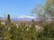 Picturesque mountain view overlooking the community landscape on a clear day at 16724 E Gunsight Dr # 118, Fountain Hills, AZ 85268