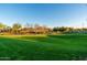 A beautiful community green space and park with lush grass and walking trails at 20088 E Maya Rd, Queen Creek, AZ 85142