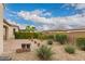 Lush backyard with a paver patio, desert landscaping, and mature trees, offering a peaceful and private outdoor space at 229 E Alcatara Ave, Queen Creek, AZ 85140