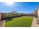 Backyard featuring turf lawn, stone landscaping, and block wall fencing at 36708 N Petra Dr, San Tan Valley, AZ 85143
