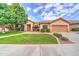 Charming home featuring lush green lawn, mature shade tree, and meticulously maintained desert landscaping at 3682 S Rosemary Dr, Chandler, AZ 85248