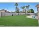Lush backyard with palm trees, green grass, and privacy fencing, perfect for outdoor living at 3925 W Hackamore Dr, Phoenix, AZ 85083