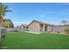 Well-manicured backyard showcasing lush green lawn, block fencing, and desert landscaping at 3925 W Hackamore Dr, Phoenix, AZ 85083