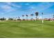 Expansive green golf course with flags, set against a backdrop of palm trees and residential houses at 11040 W Hayward Ave, Glendale, AZ 85307