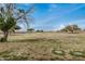 Expansive open field with scattered trees, offering potential for recreational activities at 11040 W Hayward Ave, Glendale, AZ 85307