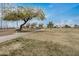 Scenic walking path lined with trees and benches, complemented by a grassy open field at 11040 W Hayward Ave, Glendale, AZ 85307