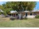 Backyard featuring mature citrus trees providing shade, a glimpse of the covered patio, and manicured green grass at 13620 N Hawthorn Dr, Sun City, AZ 85351