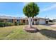 Lovely front yard featuring decorative tree and well-maintained lawn at 13620 N Hawthorn Dr, Sun City, AZ 85351