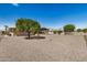 This backyard features desert landscaping with a covered patio perfect for entertaining at 15227 N Rosewood Dr, Sun City, AZ 85351