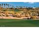 Beautiful community golf course featuring lush green fairways, desert vegetation, and palm trees in the distance at 15881 W Berkeley Rd, Goodyear, AZ 85395