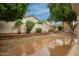 Fenced backyard with mature trees, shrubs, and decorative retaining wall at 26065 N 68Th Ln, Peoria, AZ 85383