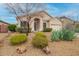 Beautiful single-Gathering home featuring an attractive desert landscape at 26065 N 68Th Ln, Peoria, AZ 85383