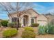 Beautiful single-Gathering home featuring an attractive desert landscape and a two-car garage at 26065 N 68Th Ln, Peoria, AZ 85383