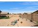 Desert backyard with gravel, decorative elements, and block wall offers low-maintenance outdoor space at 43870 W Baker Dr, Maricopa, AZ 85138