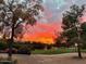 Stunning sunset reflecting over the golf course, enhanced by trees and manicured grounds at 6832 S 38Th S Pl, Phoenix, AZ 85042