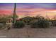 Desert property featuring mature cacti, desert landscaping, and scenic views at dusk at 9331 E Mclellan Rd, Mesa, AZ 85207