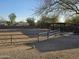 Fenced horse arena on a sunny day, shaded by mature trees at 9331 E Mclellan Rd, Mesa, AZ 85207