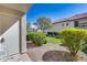 Well-maintained backyard area with greenery, rock ground covering, and beautiful shrubbery at 11011 N 92Nd St # 1157, Scottsdale, AZ 85260