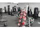 Well-equipped fitness center with various weight machines and medicine balls at 12007 S Crow Ct, Phoenix, AZ 85044
