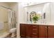 Bright bathroom featuring double sinks, decorative mirror, wooden cabinetry, shower with curtain, and vase of tulips at 1209 E Park Ave, Chandler, AZ 85225